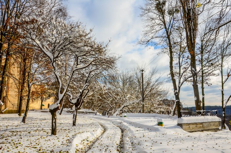 zyma-zhytomyr-183-yz-208