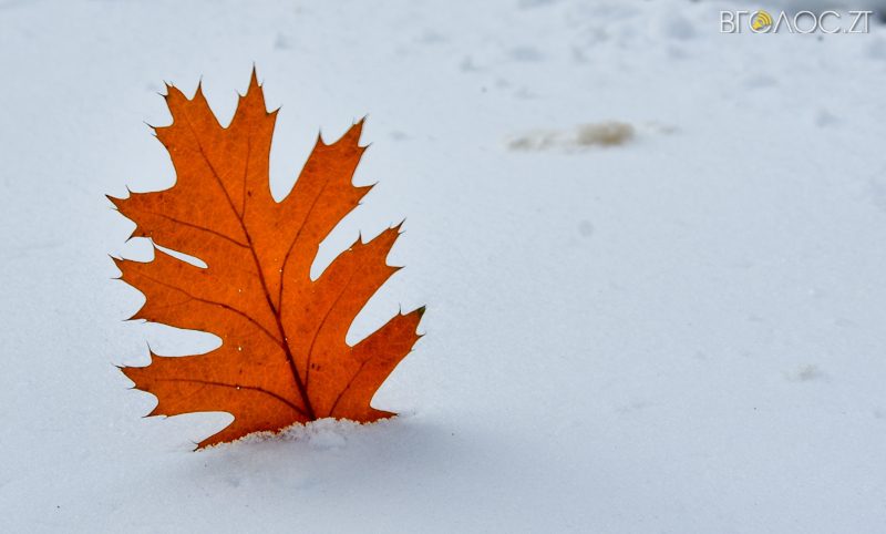 zyma-zhytomyr-40-yz-208