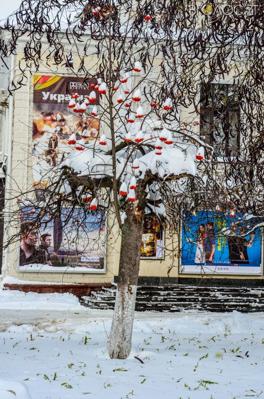 zyma-zhytomyr-61-yz-208