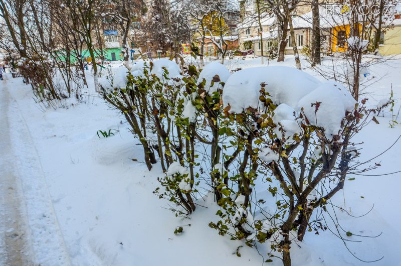 zyma-zhytomyr-8-yz-208