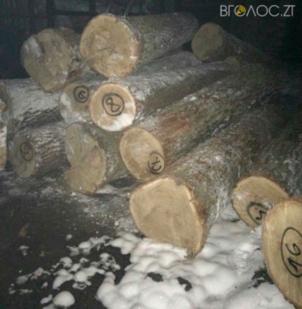 Депутати організували незаконний лісовий бізнес