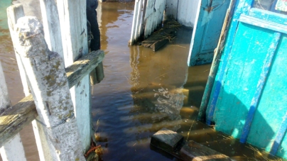У Пулинському районі вода затопила подвір’я та підходила до будинку