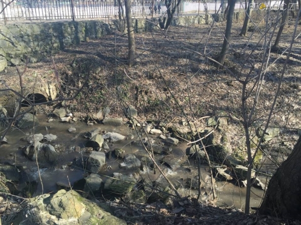 Біля ботанічного саду виявили несанкціоновані скиди нечистот і фекалій у річку Путятинку