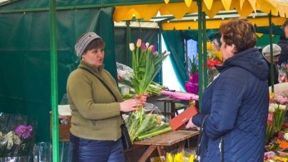 У Житомирі з’являться майданчики для торгівлі живими квітами