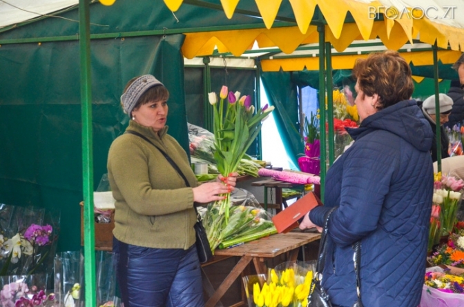 У Житомирі з’являться майданчики для торгівлі живими квітами