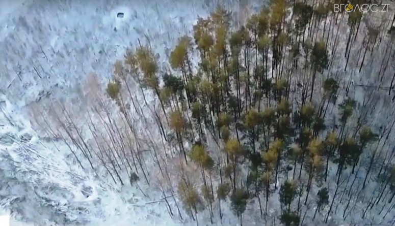 На Житомирщині легально можлива лише геологорозвідка бурштину, видобуток – заборонений