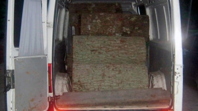 На Олевщині затримали мікроавтобус з дубовими колодами