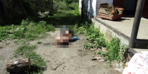 Житомирщина: 29-річний чоловік ножем убив свою матір, а від рук сина загинув батько