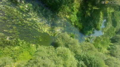 Житомир: посередині річки Кам’янки знайшли тіло молодого чоловіка