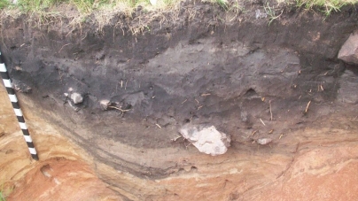 Стало відомо, що виявили студенти-історики під час археологічних розкопок у Коростені (ФОТО)