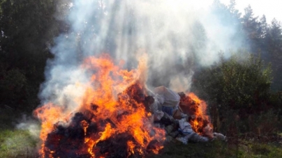 У Житомирі поліцейські знищили майже 60 кілограм сухих конопель і макової соломки