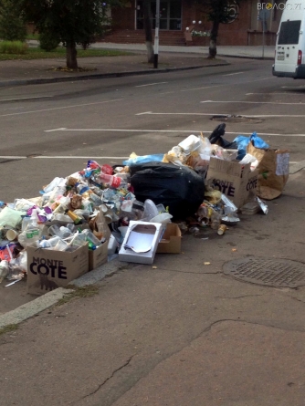 Жителі району Королівської Бочки скаржаться, що потопають у смітті