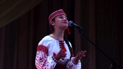 У Новограді завершився відбірковий тур конкурсу-фестивалю “Зірочко, засвітись” (ФОТО)