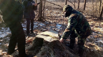 На 400 тисяч гривень вкрали дубів у Новоград-Волинському районі
