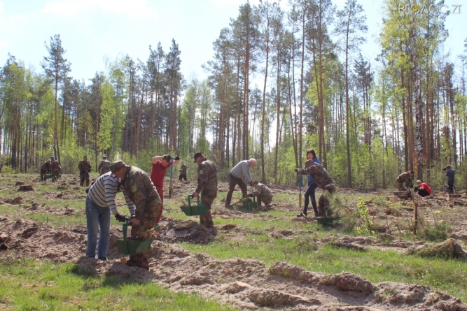Вже дев’яту ділянку лісу  висадили журналісти Житомирщини