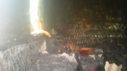 В Олевському районі під час пожежі у житловому будинку загинула жінка