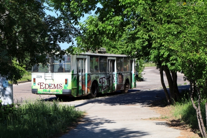 Реклама на трамваях та тролейбусах за два роки принесла ЖТТУ понад 1,3 млн грн