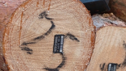 Житомирський держлісгосп закупить 200 тисяч бірок для маркування деревини
