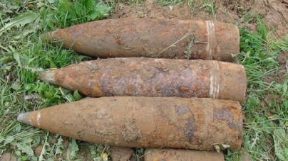 На Житомирщині жінка, яка збирала гриби, знайшла 14 мінометних мін та снаряд