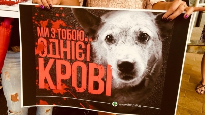 У Житомирі зоозахисники висловили обурення вбивством собак на комунальному підприємстві у Миколаєві (ФОТО)