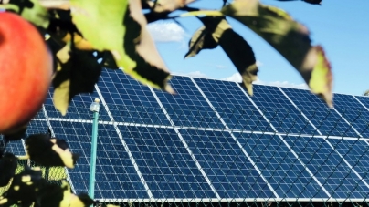 Житомирщина: сонячна електростанція родини селян може забезпечити 20 будинків електроенергією