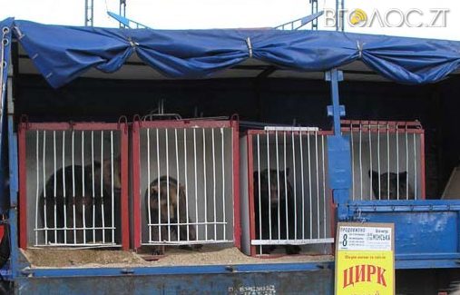 У Житомирі можуть заборонити цирк із тваринами