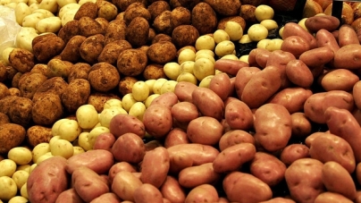 Кожен жителі області за рік з’їдає майже 200 кг картоплі