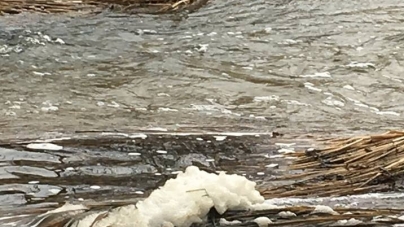 Річку Хомора на Житомирщині знову забруднили відходами