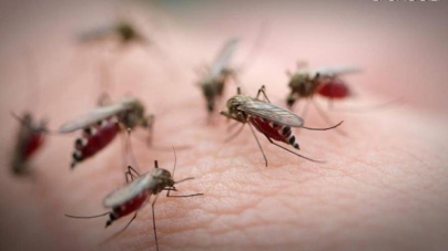 Військова частина під Житомиром закупить на 64 тисячі аерозолі від комарів