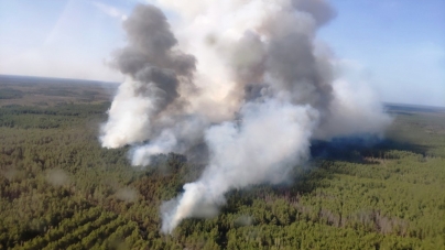 Масштабна пожежа на півночі області: з вогнем бореться авіація (ФОТО)