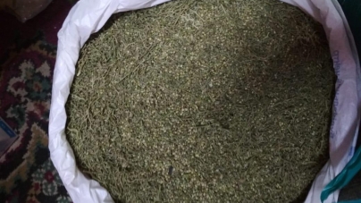 У домівці житомирянина поліцейські вилучили 10 кг марихуани