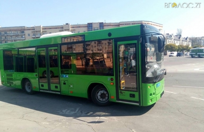 У Житомирському ТТУ розповіли, чому не працюють автобусні маршрути № 53 та 53-А