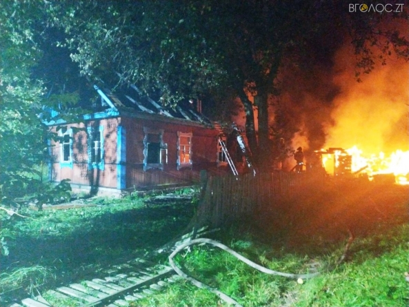 У селі на Житомирщині під час пожежі у житловому будинку загинули батько та син