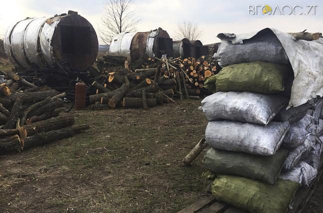 Держпродспоживслужба не може перевірити шкідливість випалювання деревного вугілля на Бердичівщині