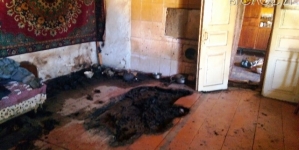 Горіла підлога та диван: під час гасіння пожежі рятувальники знайшли тіло дідуся