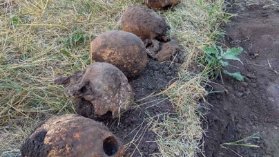 Бердичівський район: на сільському городі знайшли останки 11 солдат, які лежали один на одному