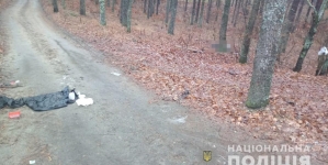 Житомирщина: у лісі знайшли тіло чоловіка, якого вбили
