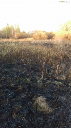Пекельна зима: протягом доби у 8 районах області загорілися поля із минулорічною травою