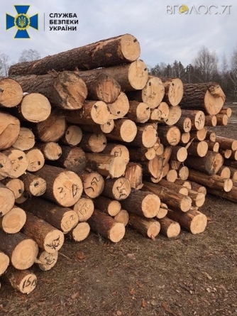 Керівники лісової галузі організували на Житомирщині масштабний механізм розкрадання деревини