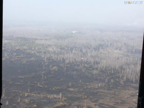 180 гектарів лісу згоріло на півночі області: особі, яка спричинила пожежу, “світить” 10 років