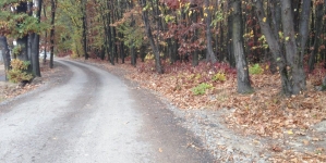 Врізався у шлагбаум: на лісовій дорозі розбився мотоцикліст