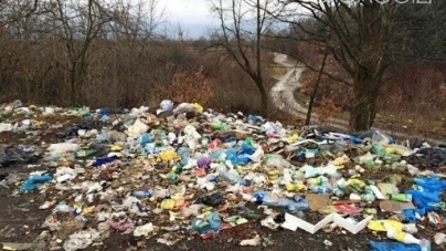 Коростишівська мерія заплатить своєму підприємству за ліквідацію стихійних сміттєзвалищ