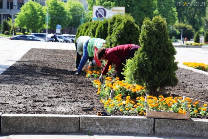 Житомирські комунальники висаджують квіти на майдані Корольова (ФОТО)