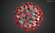 За добу 20 січня в області на коронавірус захворіли 589 осіб