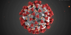 За добу 20 січня в області на коронавірус захворіли 589 осіб