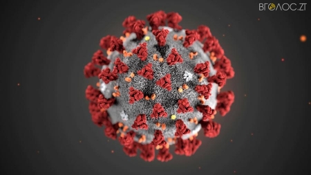 Кількість хворих на коронавірус у Житомирі за тиждень виросла вчетверо, ‒ міськрада