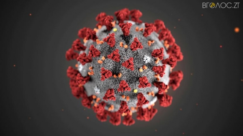 Протягом доби 6 лютого на Житомирщині виявили 1188 нових випадків коронавірусу