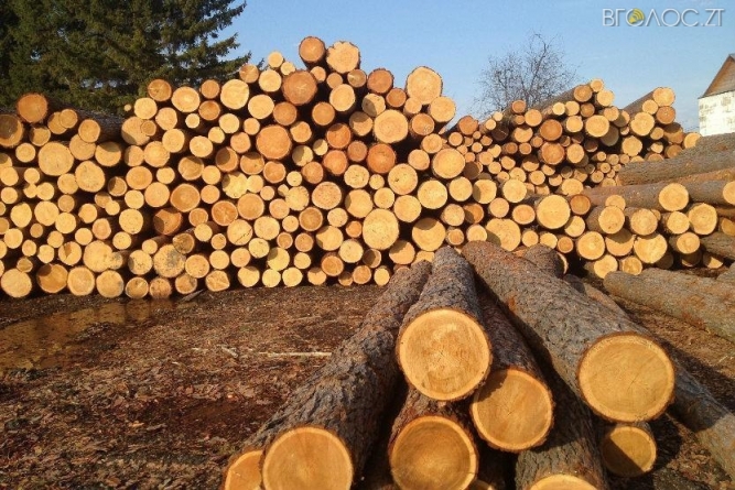 Депутати облради проситимуть Верховну Раду дозволити експортувати ліс