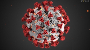 За добу 23 січня на Житомирщині зафіксували 798 нових випадків коронавірусу