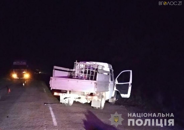 Поліція розслідує смертельну ДТП в Овруцькому районі